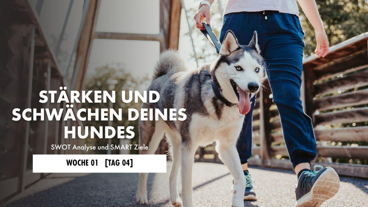 Frau sitzt am Schreibtisch und schreibt etwas auf ein Blatt