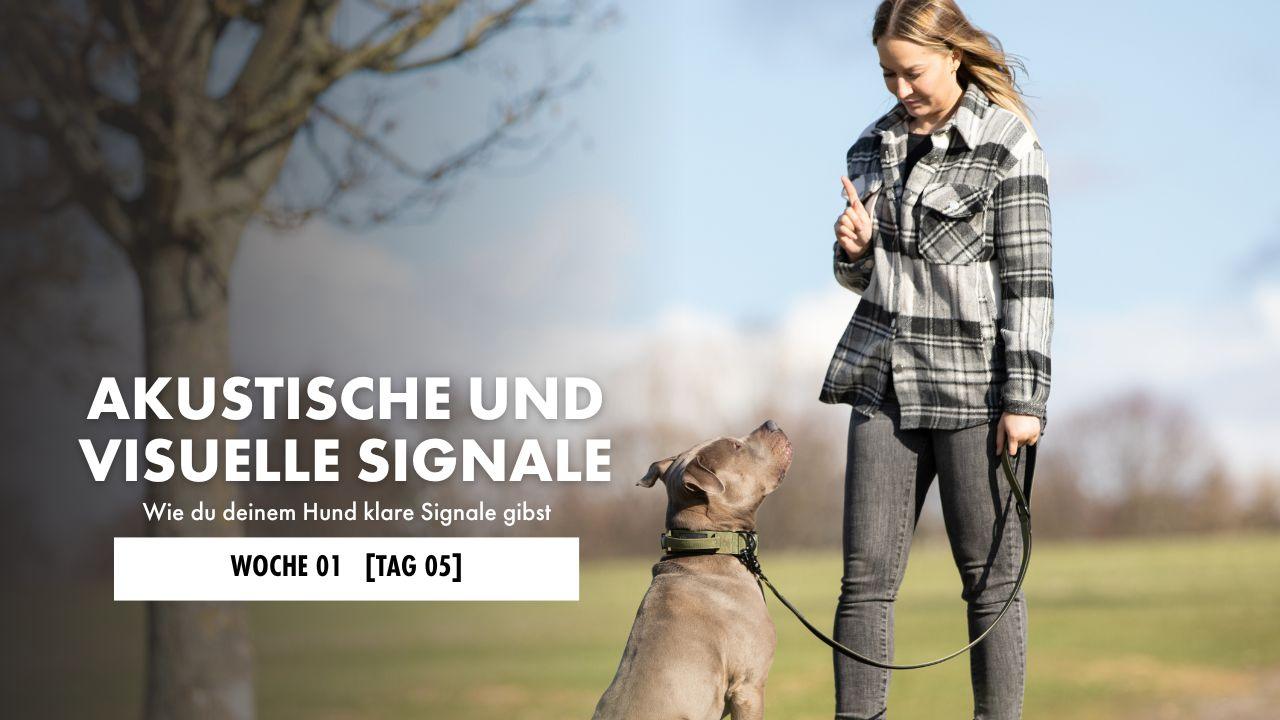 Hund sitzt neben einer Frau, die ihm ein visuelles Zeichen für "Sitz" gibt