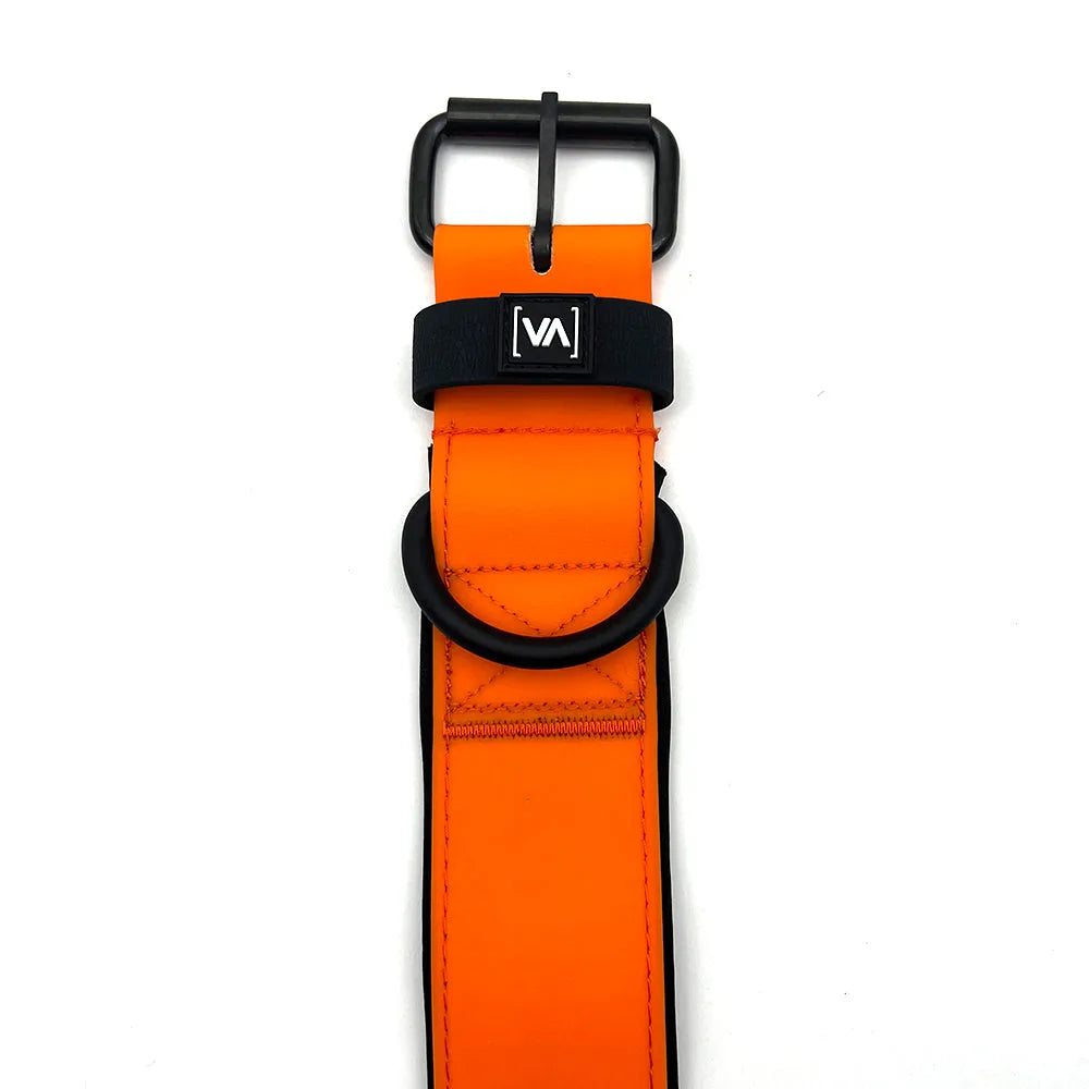 Wasserhalsband mit Strukturiertem HydroTex-Gummi für Hunde - Mit Abstehender Innenfütterung - Orange - Vitomalia -