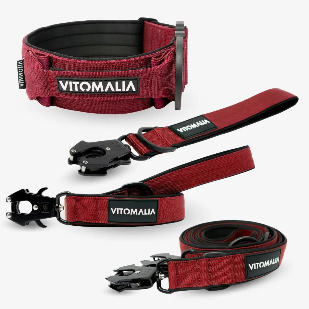 Bundle Extreme Edition Set complet - Collier & 3 Laisses - Bordeaux