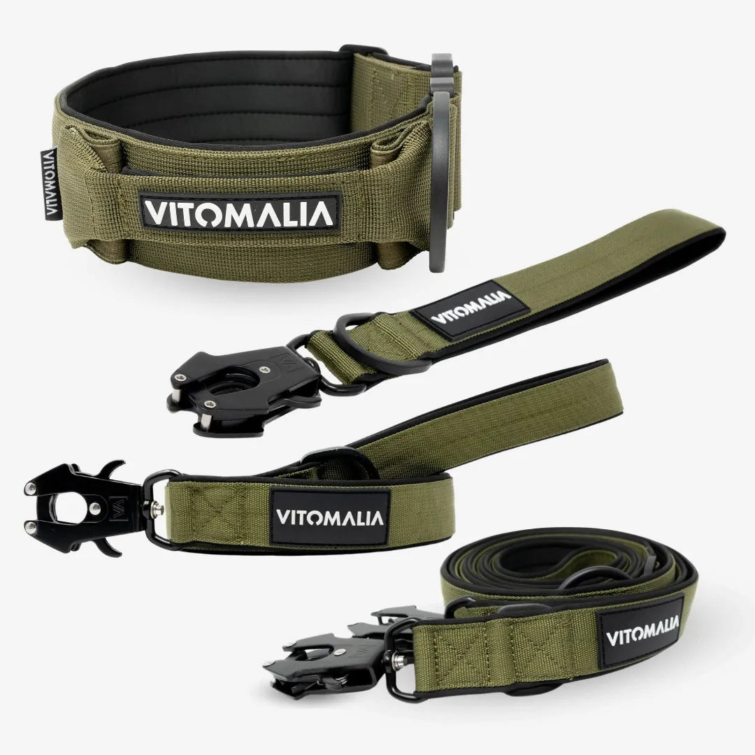 Bundle Extreme Edition Set complet - Collier & 3 Laisses - Kaki