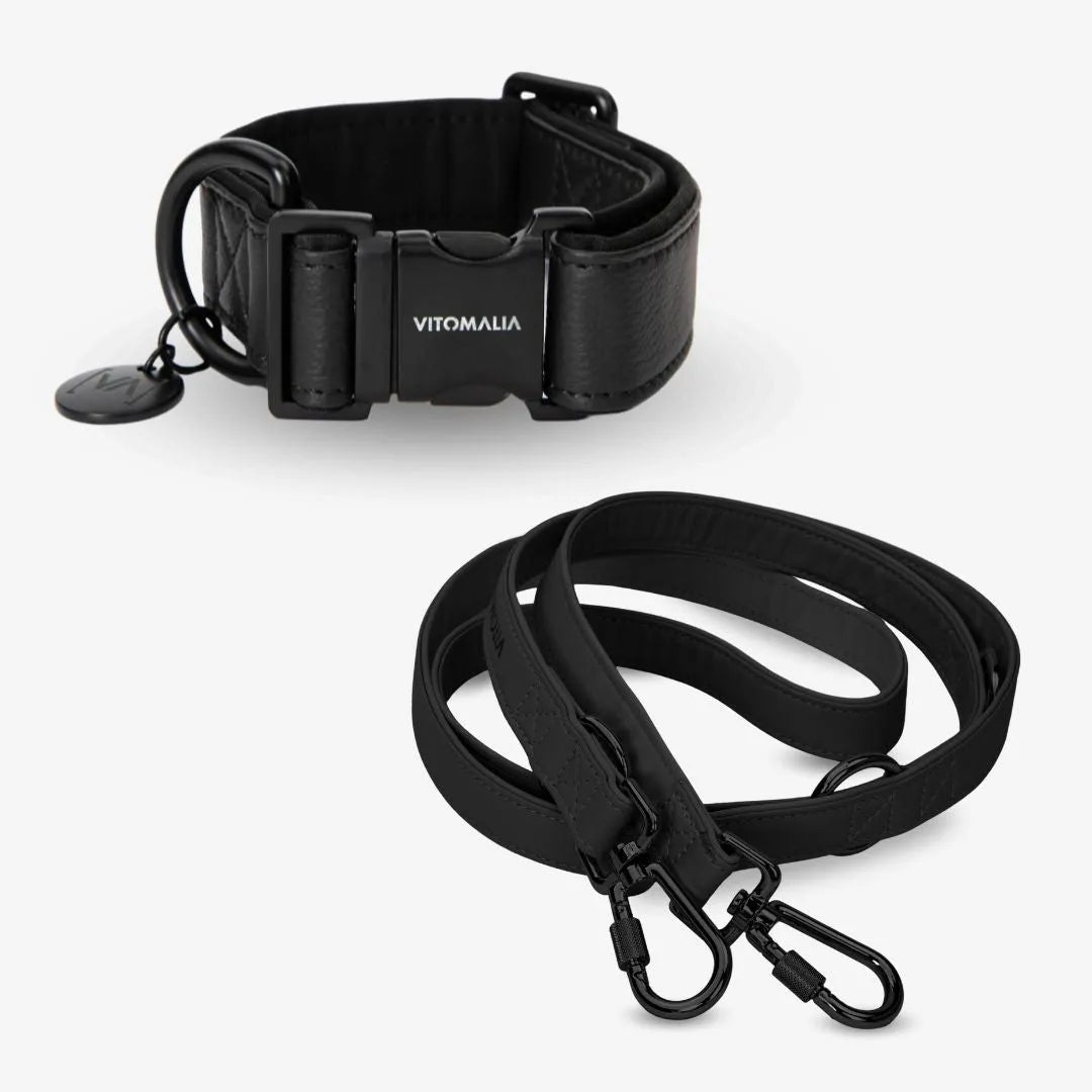 Zestaw Luxus Edition Black - Obroża + potrójnie regulowana Smycz dla psa 2,2 m