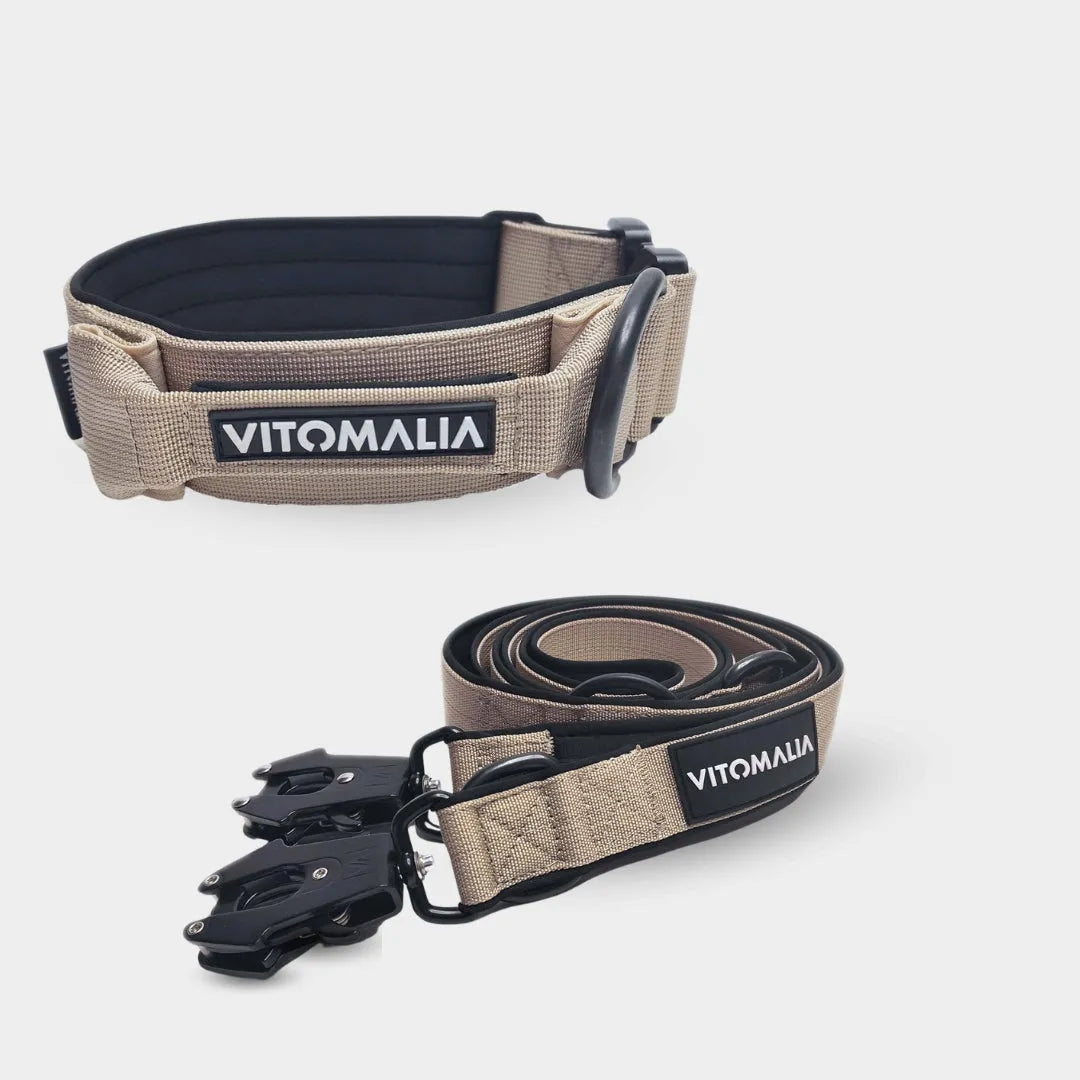 Zestaw Extreme Edition Beige - Obroża + potrójnie regulowana Smycz dla psa 2,2 m