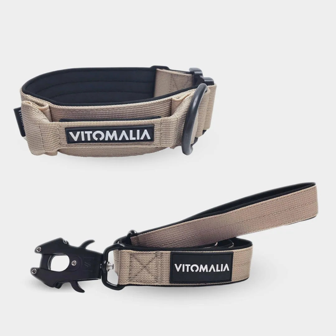 Bundle Extrem Edition Beige Set - Halsband + 1,2 Führleine mit Handschlaufe