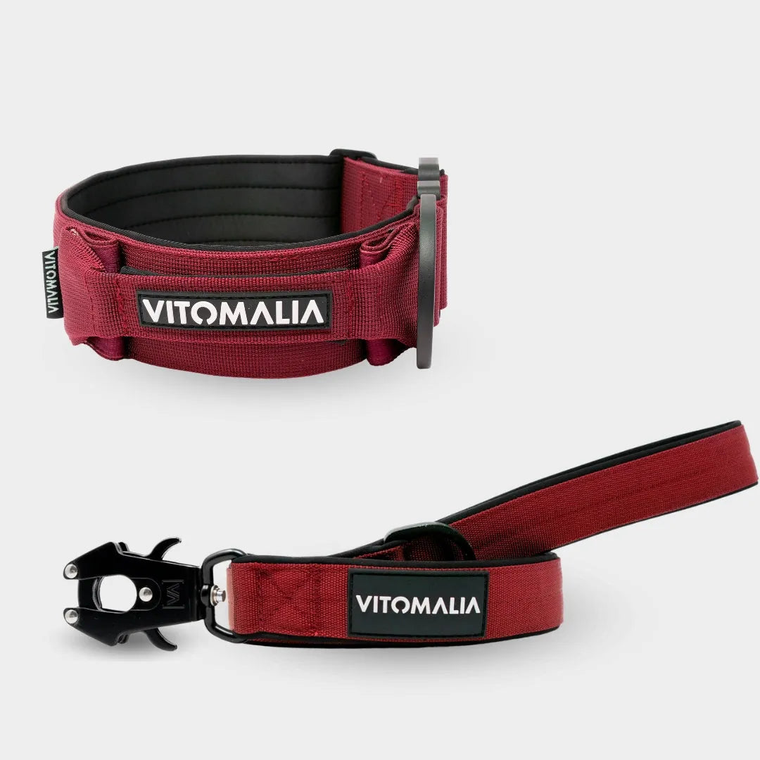 Bundle Extrem Edition Bordeaux Set - Collier + 1,2 laisse avec dragonne