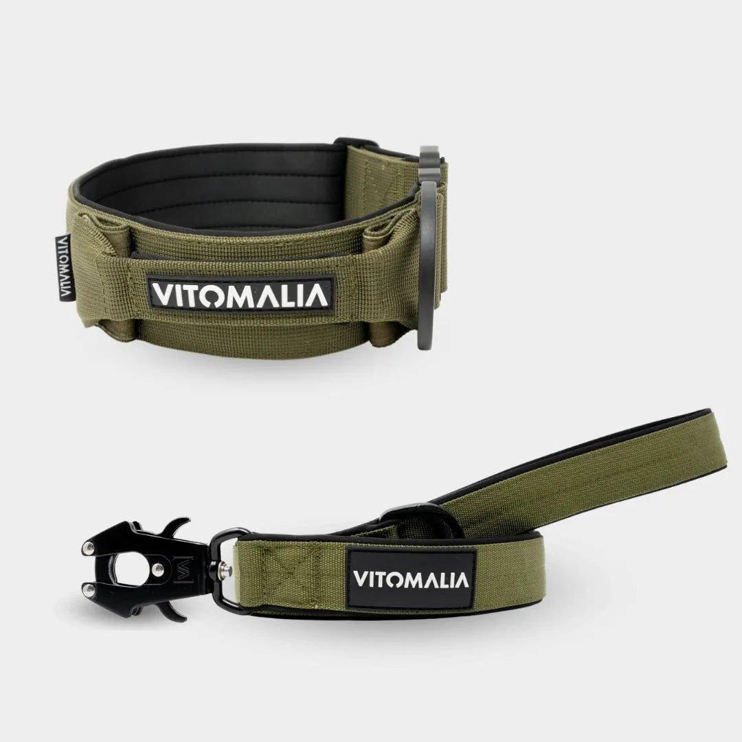 Bundle Extreme Edition Khaki Set - Halsband + 1,2 Führleine mit Handschlaufe