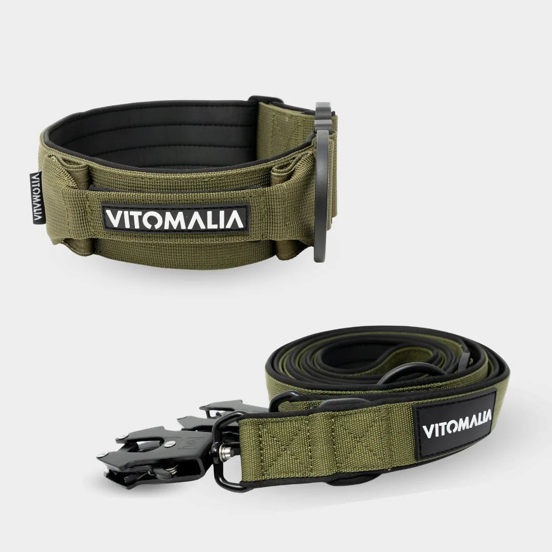 Zestaw Extreme Edition Khaki - Obroża + potrójnie regulowana Smycz dla psa 2,2 m