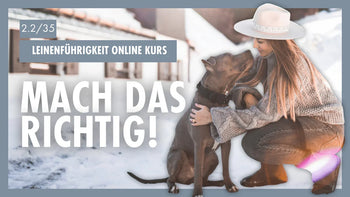 Mit klaren Zielen zum Erfolg | Effektive Zielsetzung im Hundetraining [Tag 2/2]