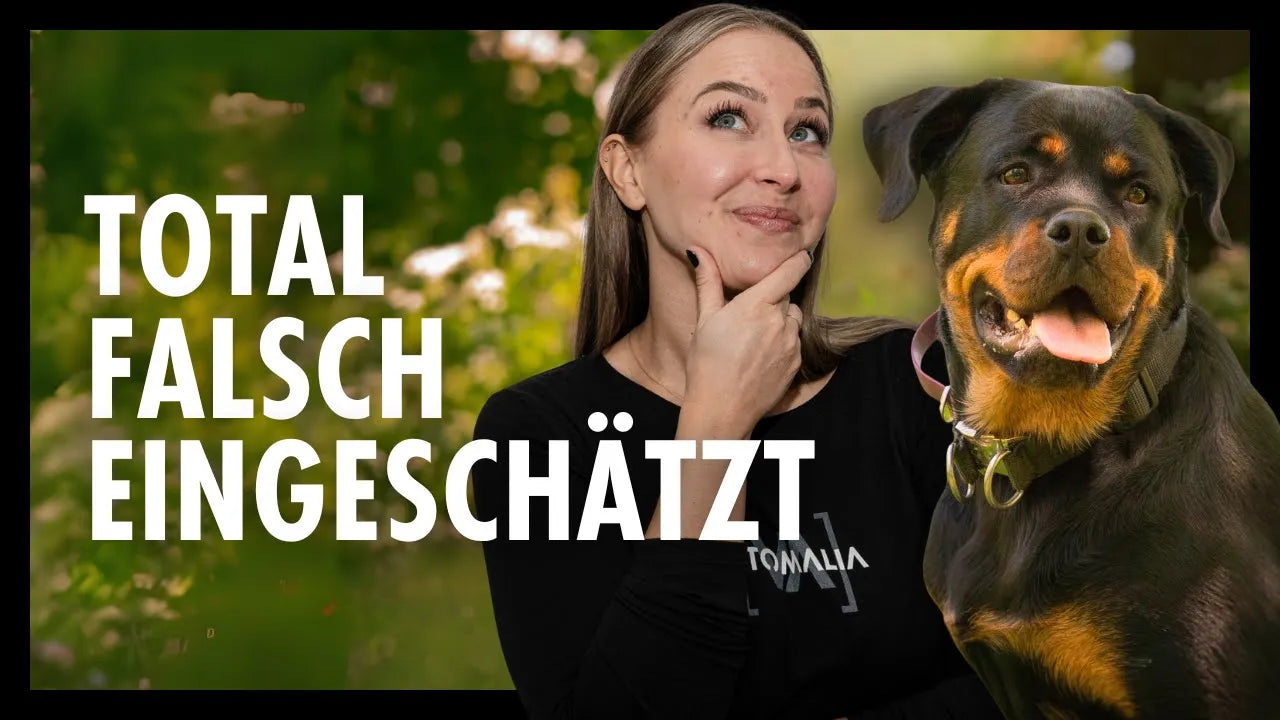 Richtige Rassewahl