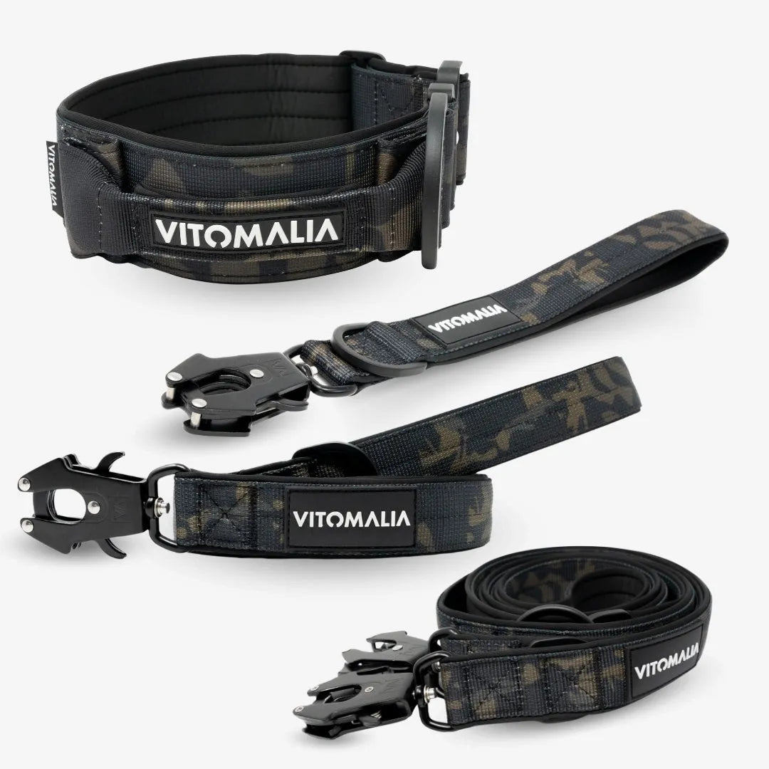 Set completo Bundle Extreme Edition - Collare e 3 Guinzagli - Mimetico