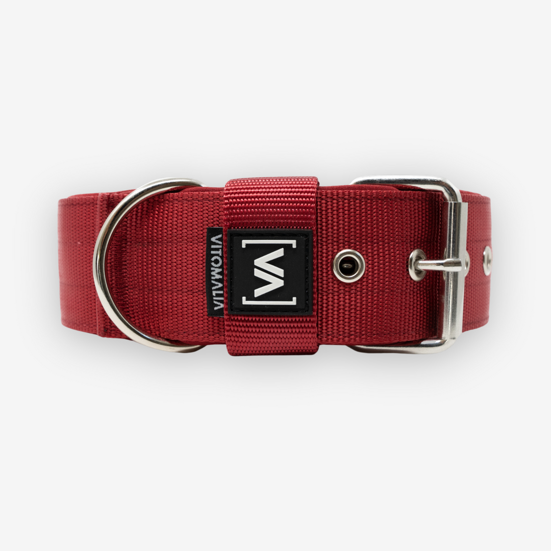 Classic Dog Collar with protruding inner lining - Bordeaux