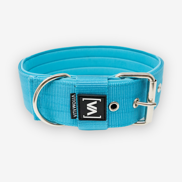 Classic Dog Collar with protruding inner lining - turquoise