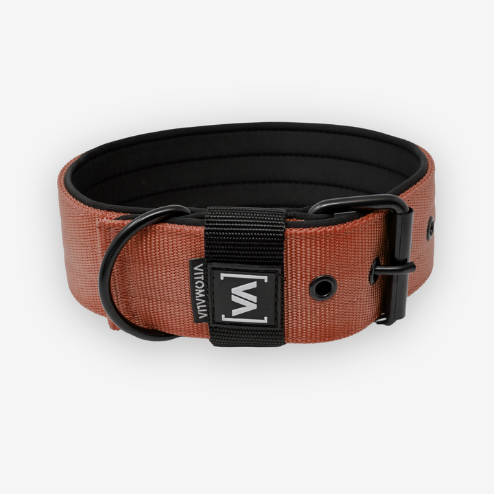 Classic Dog Collar with protruding inner lining - Nero Brown