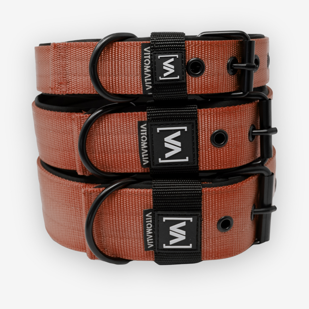 Classic Dog Collar with protruding inner lining - Nero Brown