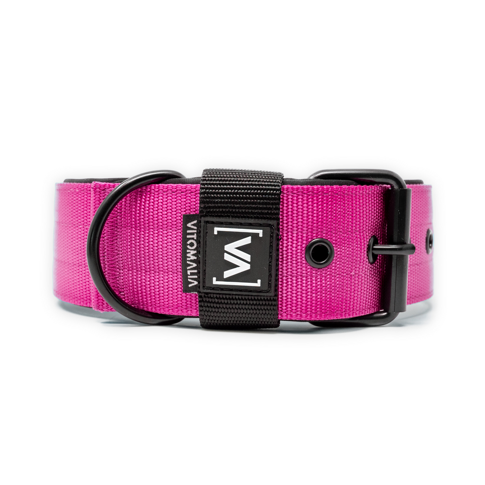 Klassisches Hundehalsband mit abstehender Innenfütterung - Nero Pink - Vitomalia - Hundehalsband