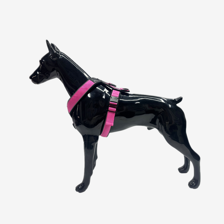 Leichtes Y-Hundegeschirr mit Reflextionsstreifen in Pink - Vitomalia - Easy Go Edition Hundegeschirr