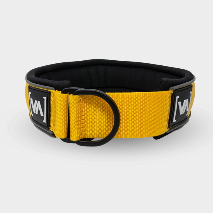 Reflective yellow pull-stop dog collar - With anti-choke function