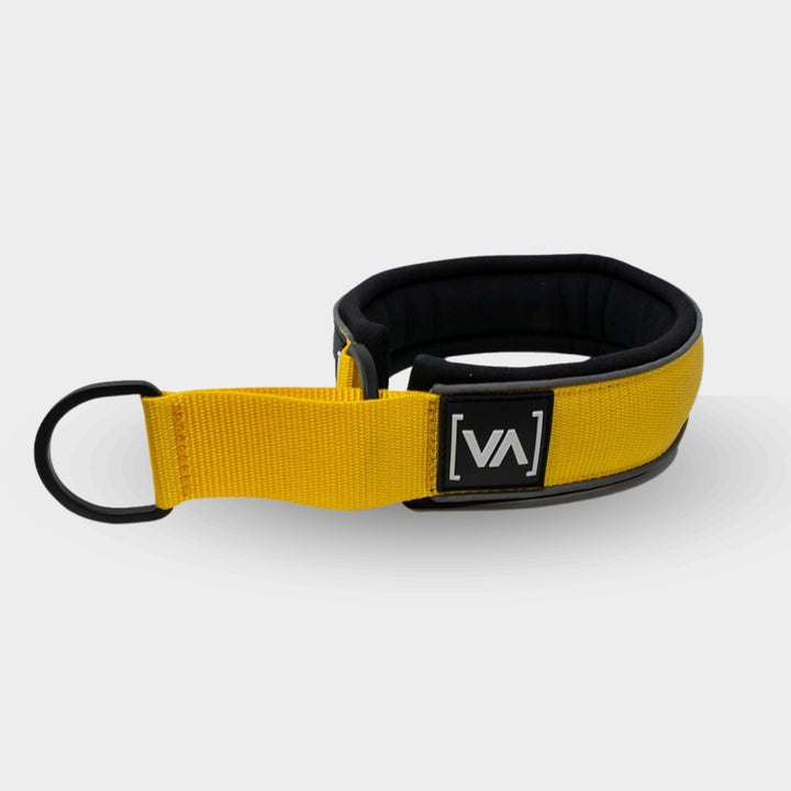 Reflective yellow pull-stop dog collar - With anti-choke function