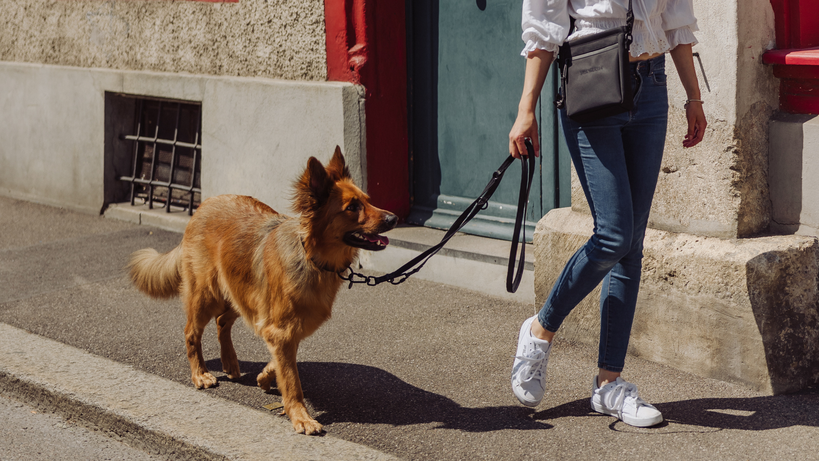 Piñatex Luxus-Hundehalsband - Nachhaltiges Ananas-Leder in Schwarz - Vitomalia - Hundehalsband Luxus Edition