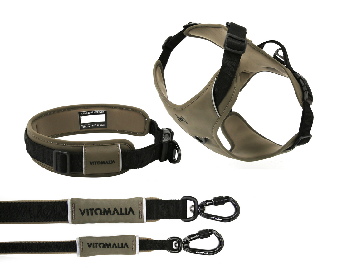 Bundle Outdoor Edition Khaki Set - Hundehalsband, Hundegeschirr, Hundeleine