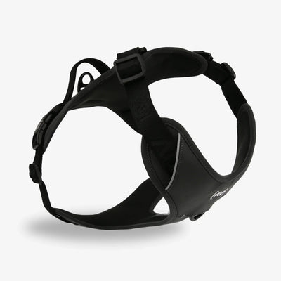 Bundle Outdoor Edition Anthrazit Set - Hundehalsband, Hundegeschirr, Hundeleine