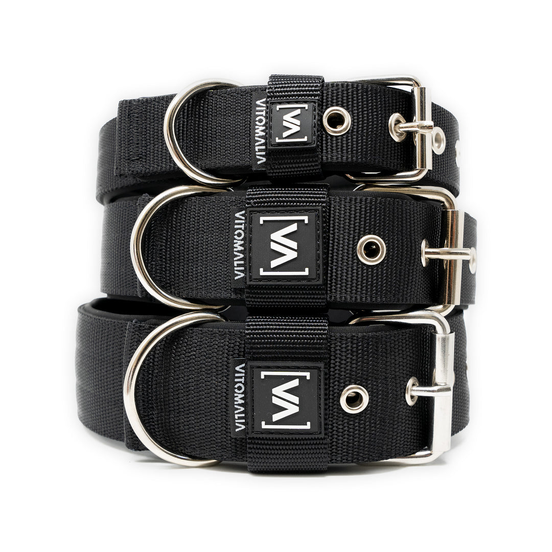 Hundehalsband Classic Edition - Schwarz - Vitomalia - 