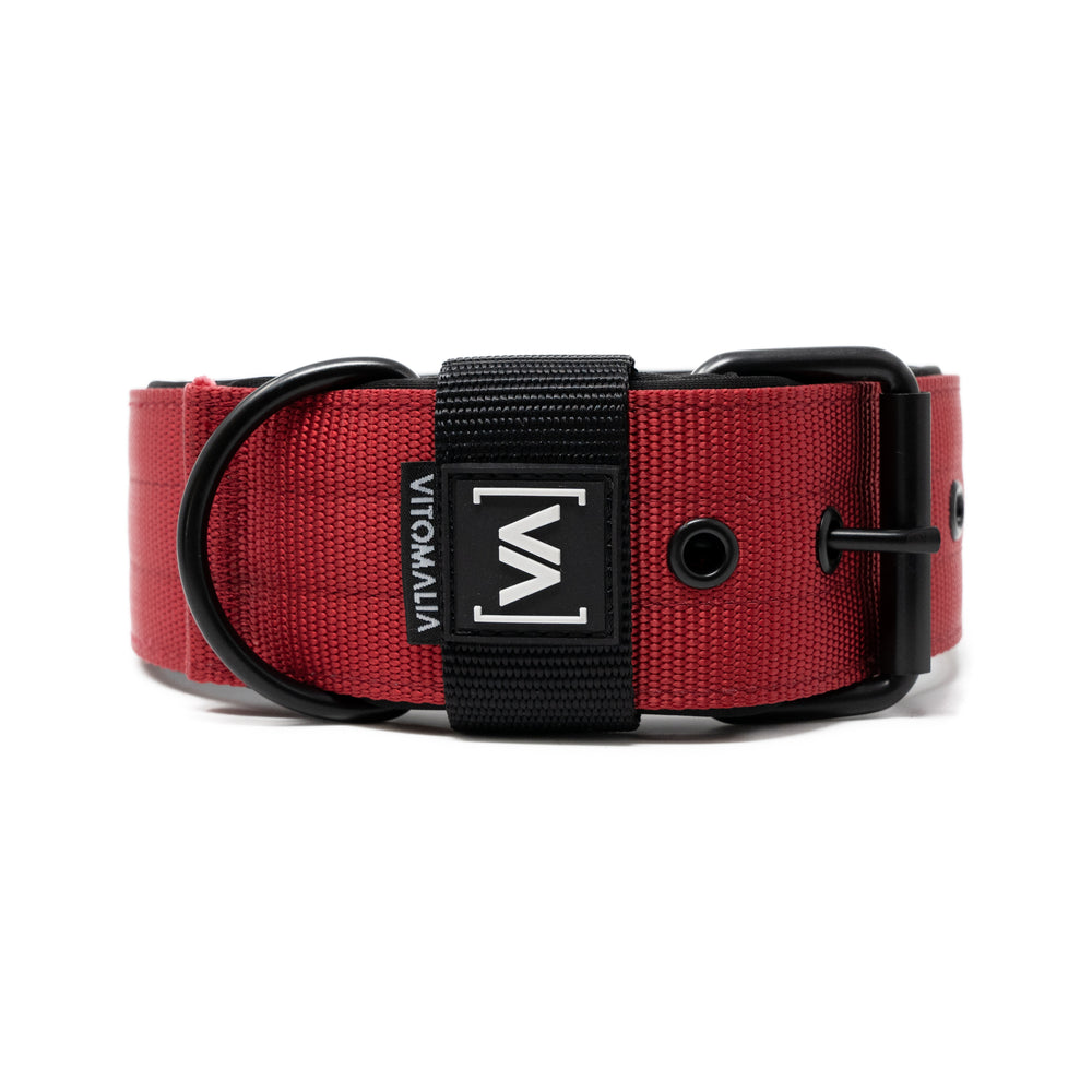 Hundehalsband Classic Nero Edition - Bordeaux - Vitomalia - Hundehalsband