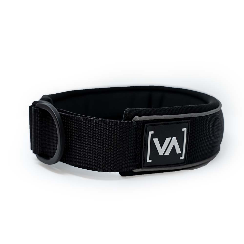 Hundehalsband Easy Go Edition Schwarz - Vitomalia - Hundehalsband