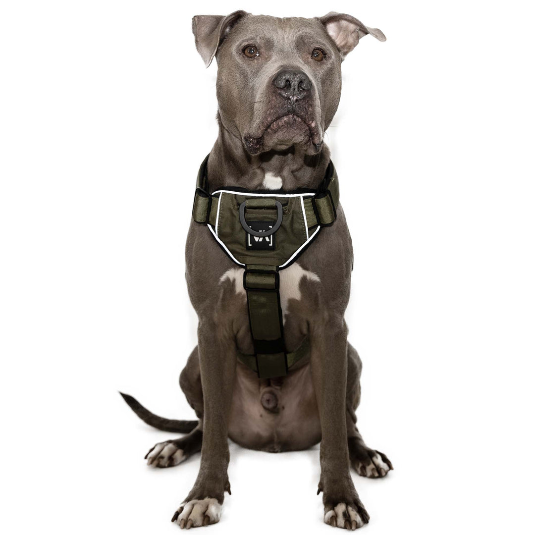 Y-Hundegeschirr Extreme Edition Khaki - Vitomalia - 